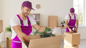 Best Packers and Movers in Hyderabad